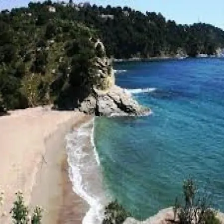 Bel T3 Ventile Avec Vue Sur Mer * Cavalaire-sur-Mer